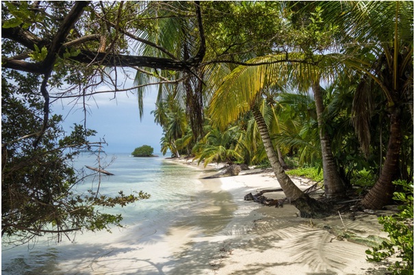 Discover the Serene Beauty of Nevis Island Beaches: A Paradise for Beach