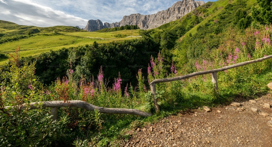 Gregs Safaris in St.Kitts