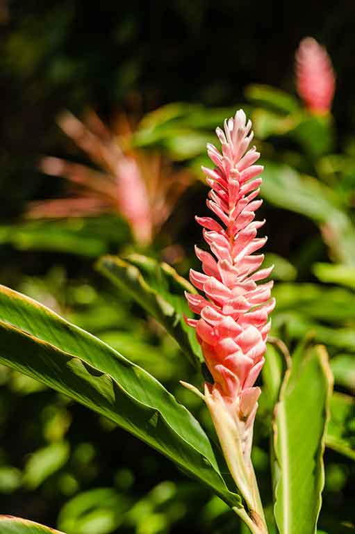 seaspeak-gallery-view-(41)