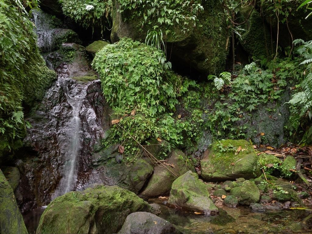 seaspeak-serenity-nevis-island